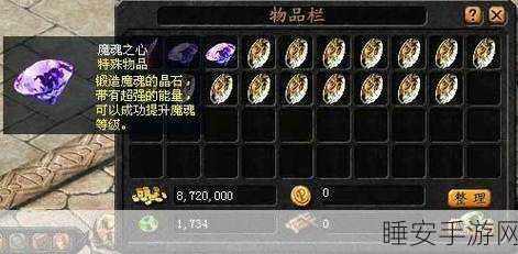 魔域宝石镶嵌攻略,装备与兵器差异大揭秘