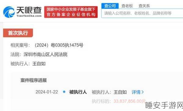 王自如深陷 3383 万元财产强制执行风波