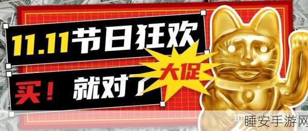 2024 年双 11 购物节，惊喜连连，你岂能错过？