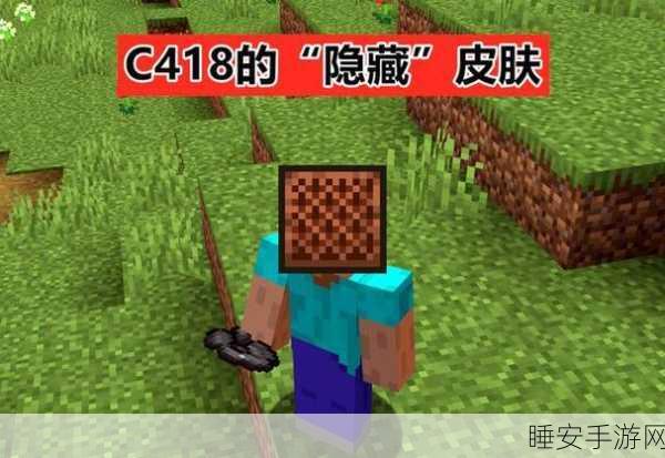 我的世界头颅奥秘大揭秘,收集、用途与创意比拼