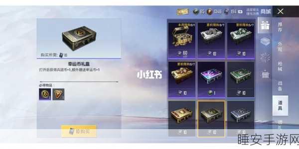 和平精英幸运币礼盒购买攻略,解锁珍稀道具,提升游戏战力