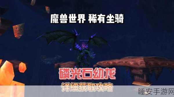 魔兽稀有坐骑获取攻略,解锁传奇之旅的钥匙