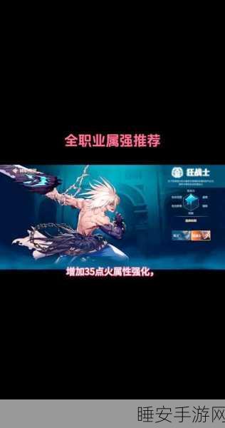 DNF手游物理职业巅峰攻略,顶尖职业深度剖析与实战必选推荐