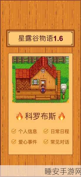 星露谷物语,揭秘同性伴侣领养宠物的独特体验