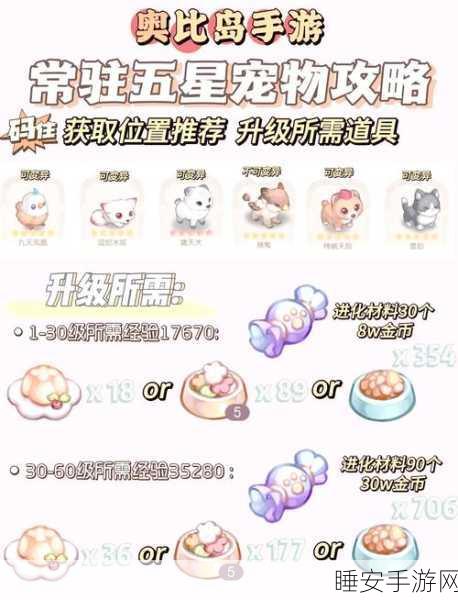 奥比岛手游宠物升级秘籍大公开