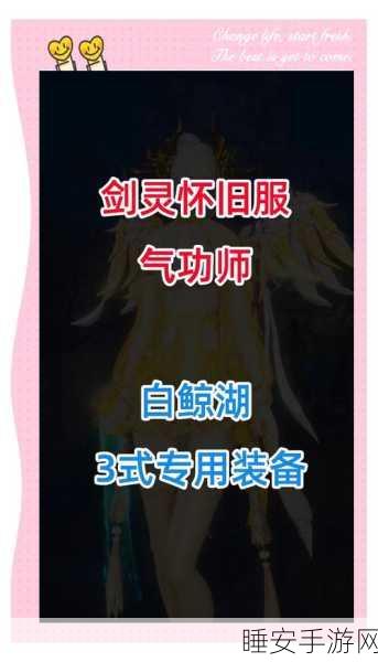 诛仙3深度攻略，辰皇剑灵完美搭配策略揭秘