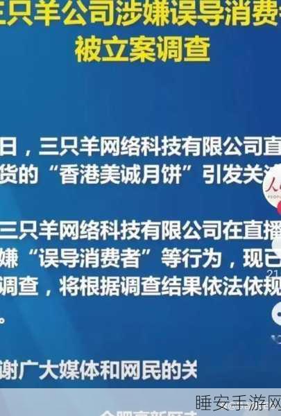 三只羊面临重罚,5 倍罚款与吊销执照危机