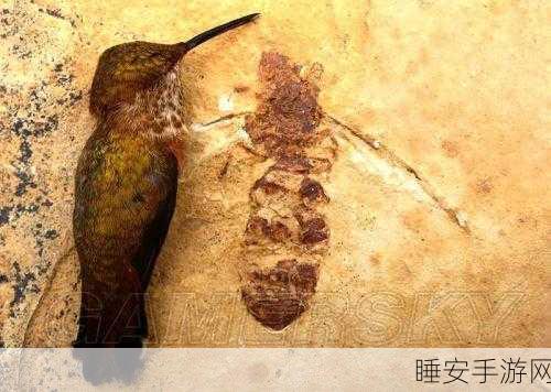 方舟生存进化 187 版,深度揭秘史前巨蚁的神秘世界