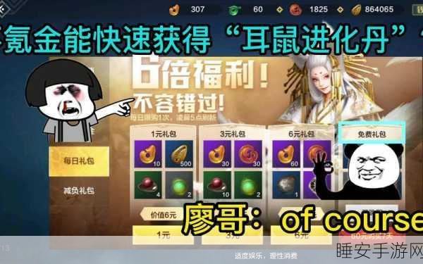 妄想山海耳鼠进化丹制作秘籍，选材与制作的详尽指南