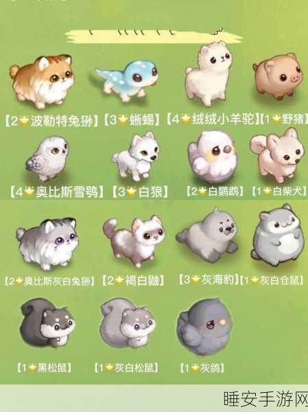 探秘奥比岛手游，宠物之家究竟藏于何处？