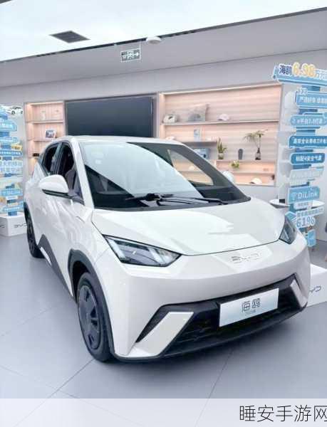 比亚迪海鸥智驾版将于 2025 年震撼登场