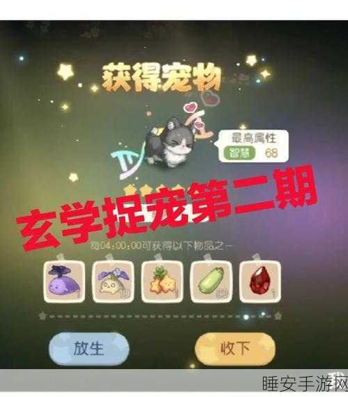奥比岛宠物分布秘籍,详尽位置大揭秘