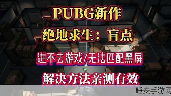 绝地求生新手训练黑屏难题大揭秘,超实用解决秘籍在此!