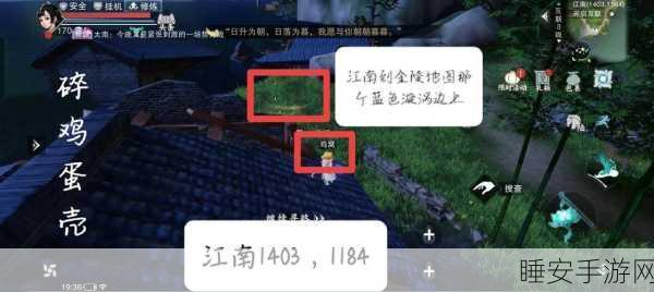 烟雨江湖金银花购买秘籍,详细攻略与独家心得