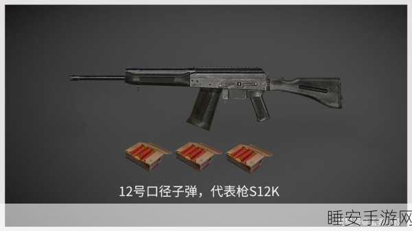 和平精英,S12K 霰弹枪——战场制敌的凶悍利器