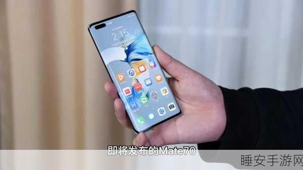 华为 Mate70 Pro 震撼登场,惊喜连连!