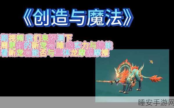 探秘创造与魔法，幻金簇的神奇用途大揭秘