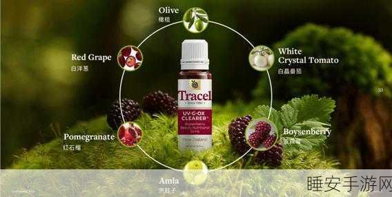 Tracel 萃斯参展，助力新西兰出口商形象腾飞