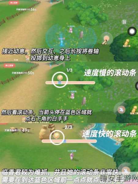 摩尔庄园，深度揭秘灵兽进化的神奇之道