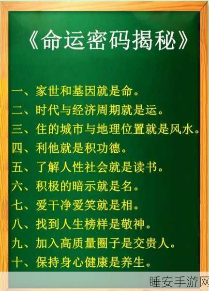 掌控命运圣契雏翠龙,技能全解与实战神策略