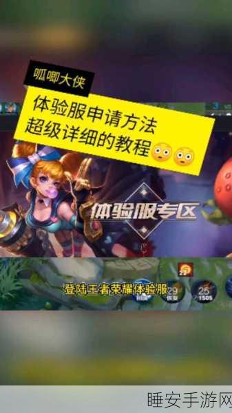 王者荣耀体验服申请成功,与正式服能否并行畅玩?
