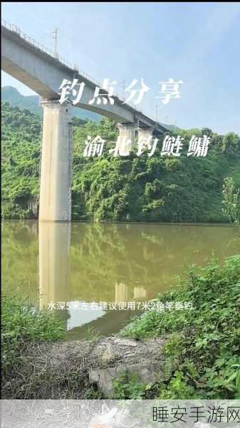 神都夜行录钓鱼秘籍,紫竹绿竹鱼竿大不同,全新钓点惊喜呈现