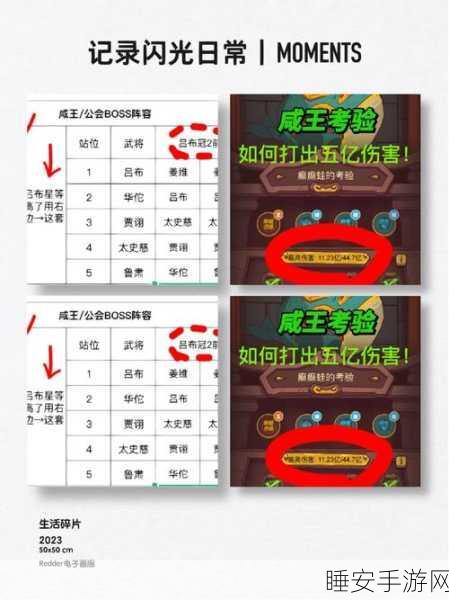 咸鱼之王,突破 113 关卡的终极攻略秘籍