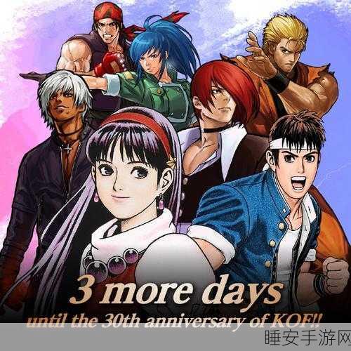 拳皇 30 周年庆,SNK 震撼出招,30 个神秘项目待揭晓!