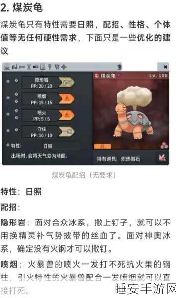 精灵宝可梦道馆致胜秘籍,全方位攻略指南