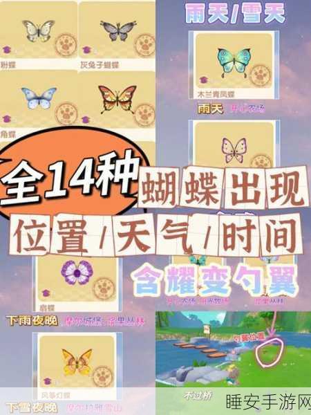 摩尔庄园神秘云朵之翼获取秘籍大公开