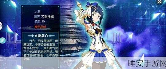 刀剑神域黑衣剑士王牌,单手锤职业称霸秘籍