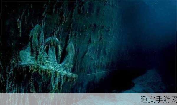 震惊！泰坦尼克号残骸沉没海底 112 年后正逐步解体