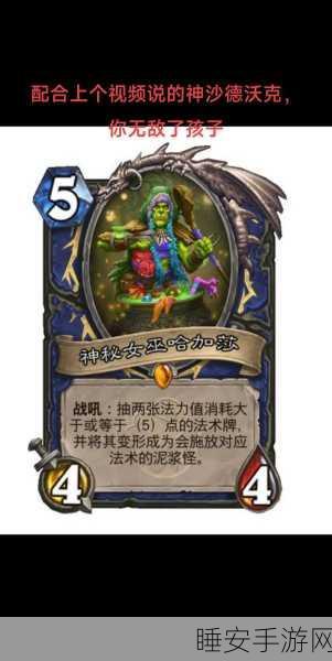 深度解析，炉石传说辛达苟萨的强大魅力