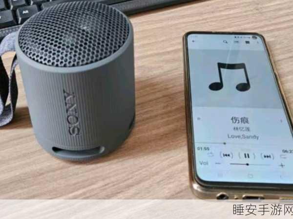 索尼 XB10 音箱完美连接指南,解锁极致音效体验