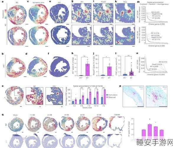 惊爆!首个棉花纤维起始发育单细胞时空组学图谱震撼发布