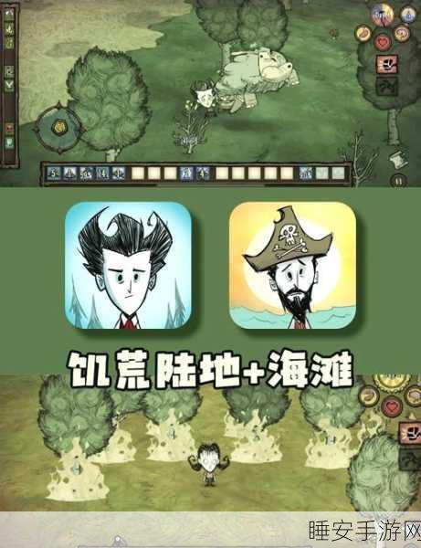 饥荒海滩生存,四季攻略大揭秘
