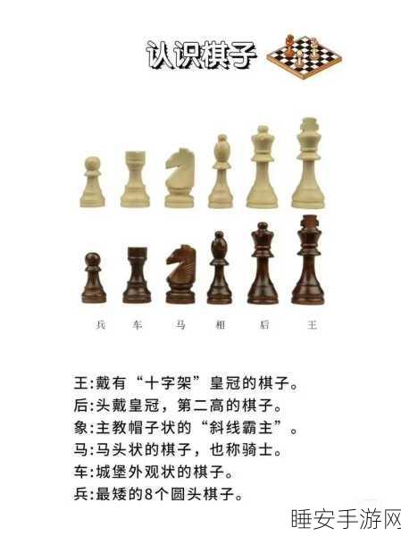 国际象棋:大师的奥秘基本信息