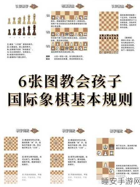 国际象棋:大师的奥秘基本信息