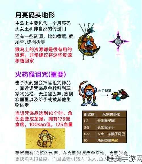 饥荒月岛探险，揭秘天体裂缝的奇妙用法