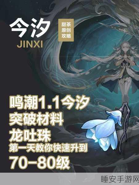 鸣潮攻略,揭秘木纹残片的高效获取途径