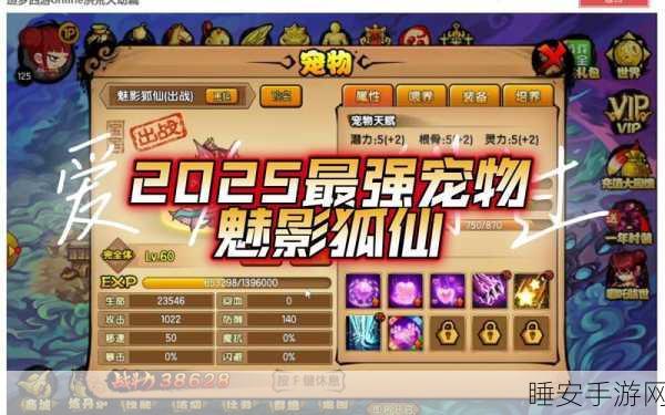 造梦西游 OL,宠物光速升级秘籍大公开