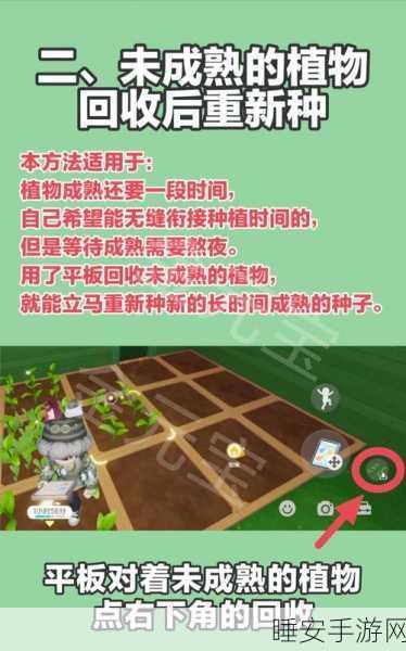 心动小镇种植箱全攻略,解锁位置与种植技巧大揭秘