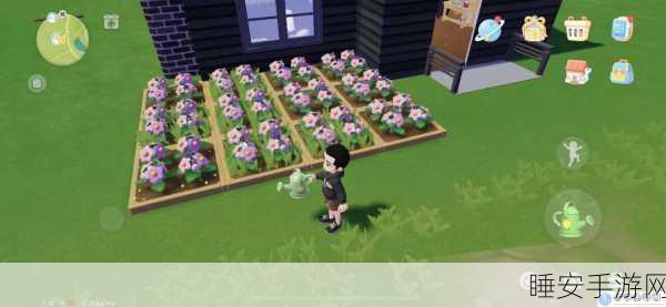 心动小镇种植箱全攻略,解锁位置与种植技巧大揭秘