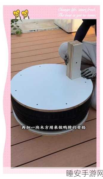 手工星球鸭子捕捉与养成全攻略,成为驯鸭大师的秘诀