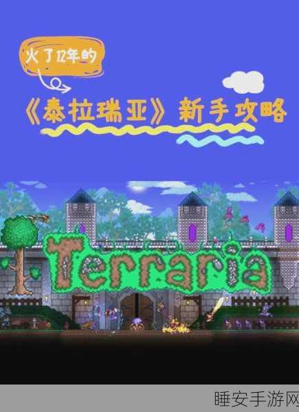 泰拉瑞亚探险指南,解锁全屏视野,深入神秘世界的技巧揭秘
