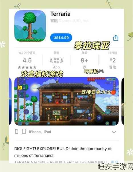 泰拉瑞亚探险指南,解锁全屏视野,深入神秘世界的技巧揭秘