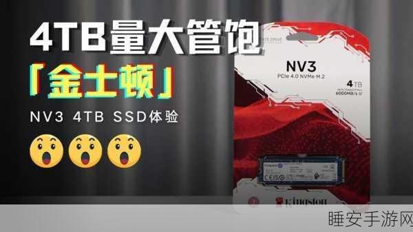 惊人领先!金士顿 2023 年称霸渠道 SSD 出货量,份额高达 34%