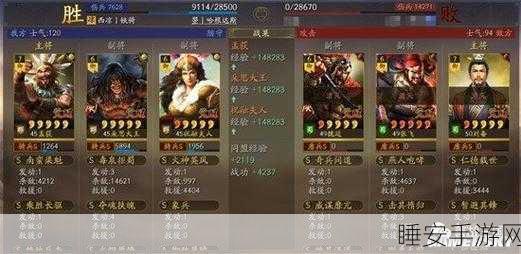 三国志战略版,朵思大王阵容搭配攻略