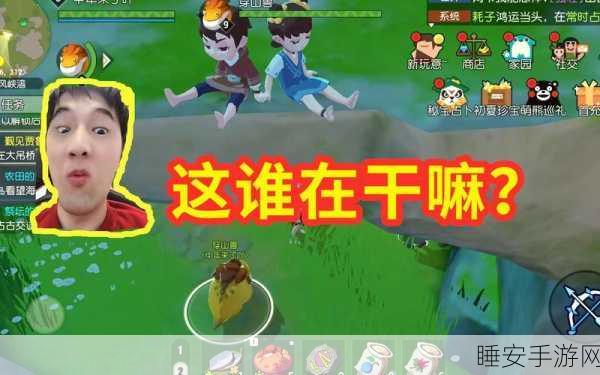 海岛纪元职业联赛巅峰对决,战士荣耀挑战极限,谁将加冕最强王者宝座?