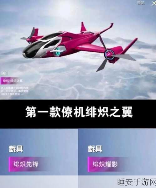 和平精英载具皮肤隐身之谜,揭秘背后的真相与解决方案